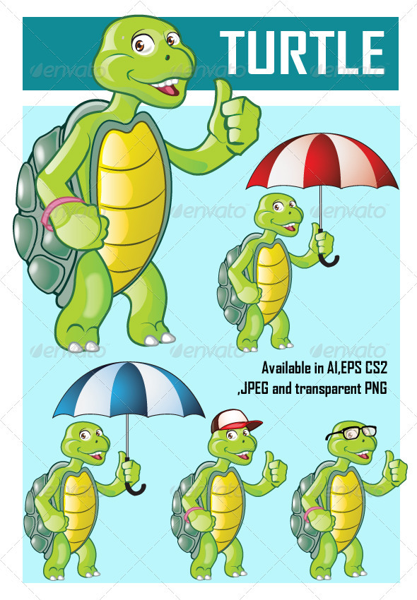 Turtle - Animals Characters