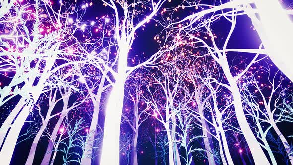 Shining Magic Light Forest 4k