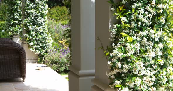 Interior of corridor with sofa chair alt
