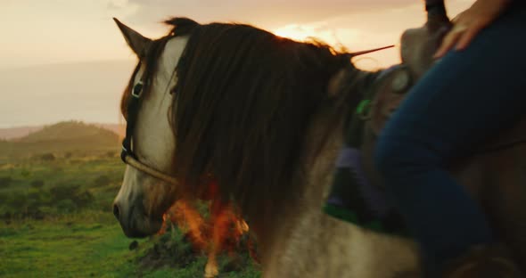 Woman Horseback Riding alt