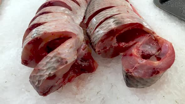 Fresh Fish at the Farmer's Fish Market