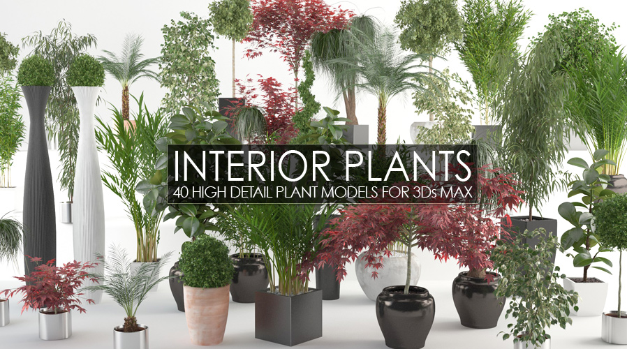 Interior Plants