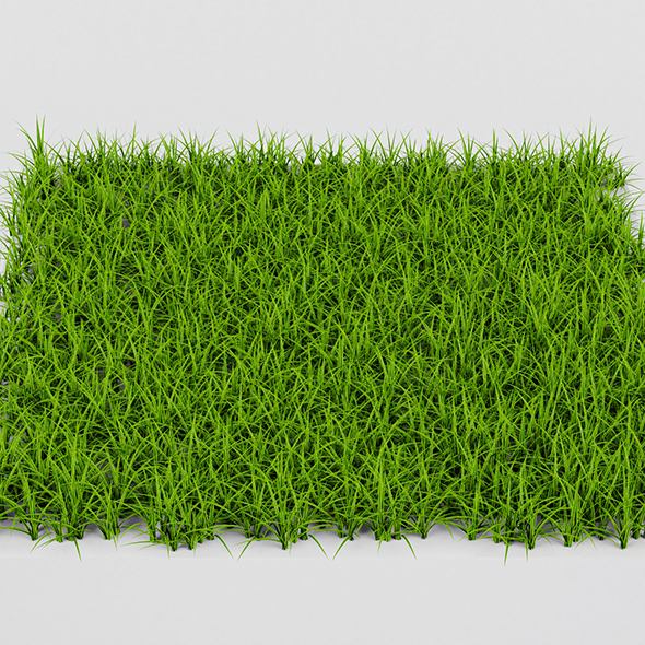 Grass - 3Docean 28782556