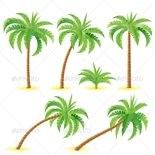 Coconut palms - Flowers & Plants Nature