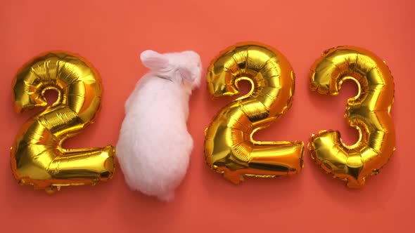 Flat Lay Inflatable Golden Balloons in the Form of Numbers 2023 on Orange Background