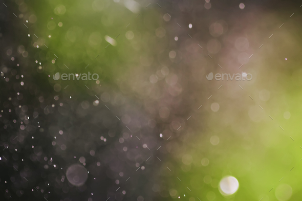 Abstract blur green gray natural bokeh banner background Stock Photo by 5PH