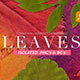Fall Leaves Elements & Backgrounds