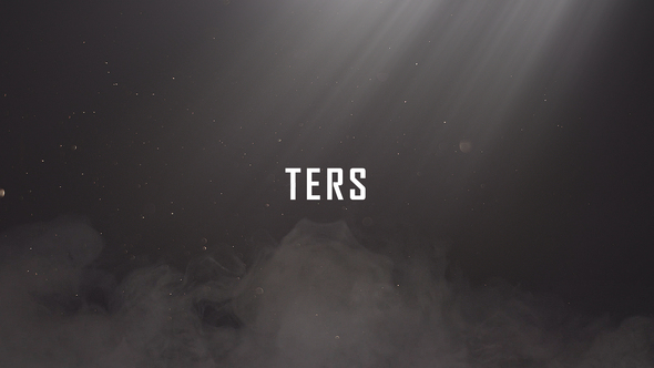 Ters - Reverse - VideoHive 28808024