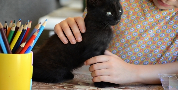 Girl Caressing Cat