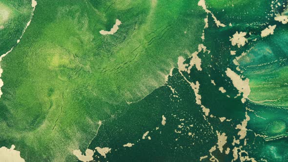Footage of Gold Green Ink Abstract in Motion Closeup alt
