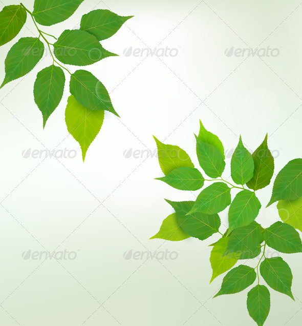 Nature background with fresh green leaves - Flowers & Plants Nature