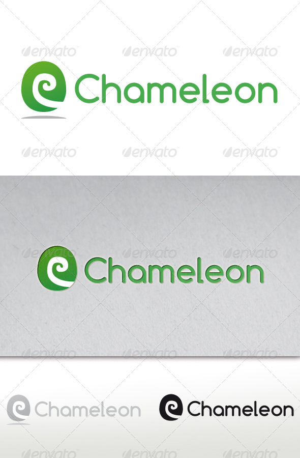Chameleon Studio Logo - Letters Logo Templates