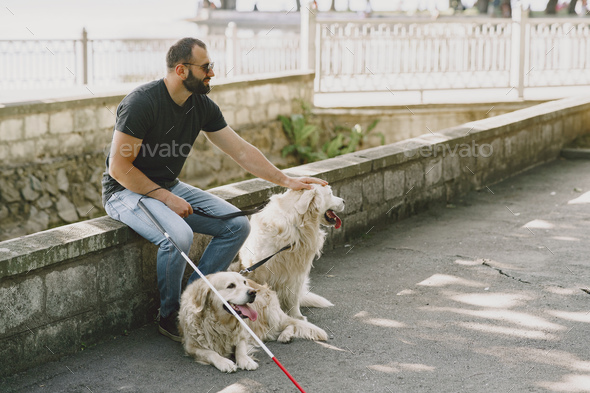 Blind man with guide dog in a summer city