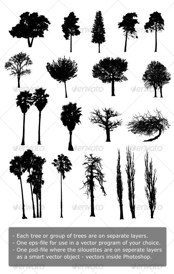 19 Highly Detailed Vector Silhouettes of Trees - Flowers & Plants Nature