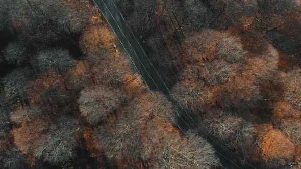 Epic Aerial View Of Autumn Forest