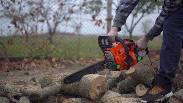 Lubmerjack Sawing Tree Logs with Chainsaw