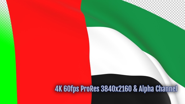 United Arab Emirates waving flag transition with alpha channel alt