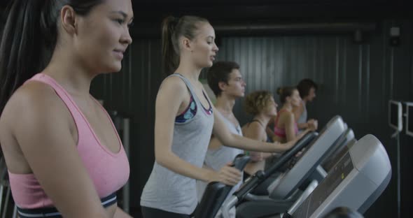 Training Elliptical Cross alt