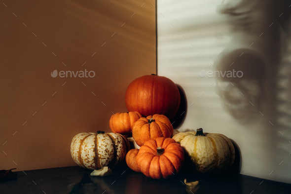 Pumpkins with strong shadows