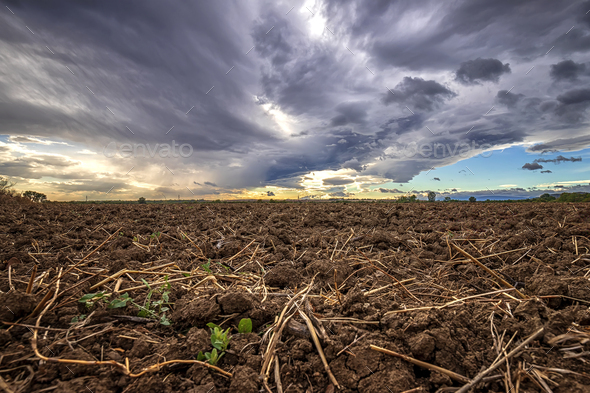 raw rural field Stock Photo by EdVal | PhotoDune