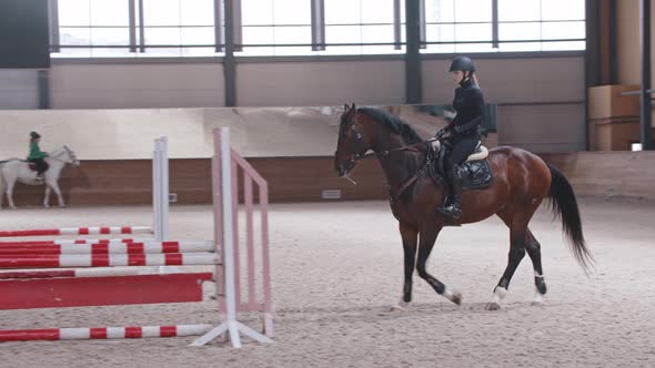 Equestrian  a Woman Slowly Rides a Horse in an Arena in a Circle alt