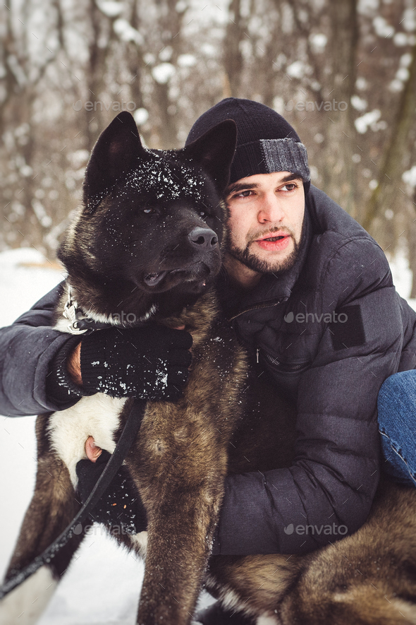 A Man In A Jacket And A Knitted Hat Walks With An American Akita Dog Stock Photo By Omelnickiy