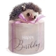 Cute Hedgehog with Present Pink Birthday Box