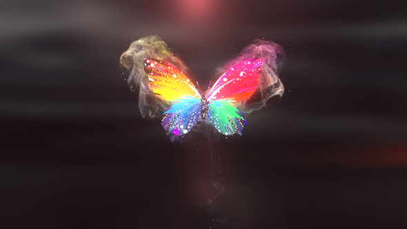 Colorful Butterfly Logo - VideoHive 28927421