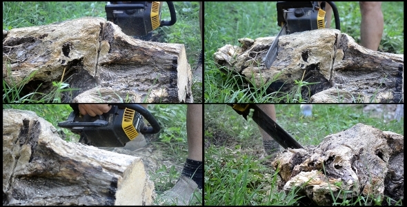 Man Cutting Woods 2 - 4 Videos