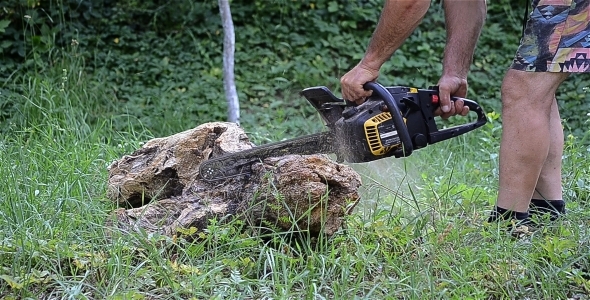 Chainsaw 1