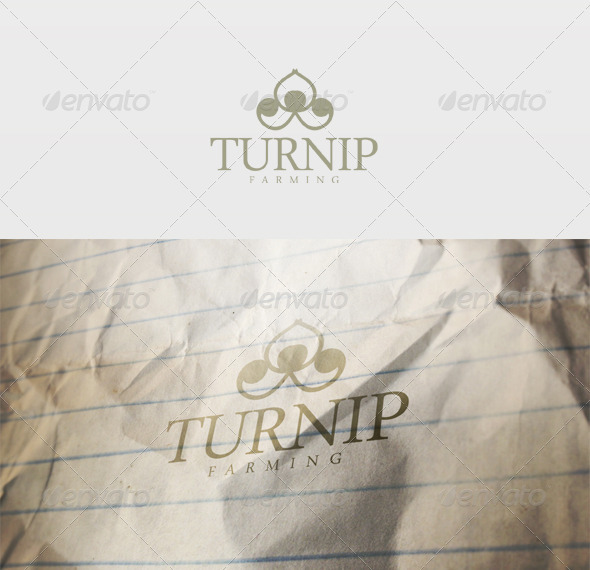 Turnip Logo - Vector Abstract