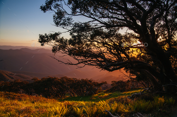 The view at sunset from the summit of Mt Buller over Little Buller Spur in the Victorian High Country, Australia