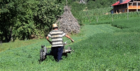 Man With Grass Cutting Machine 2