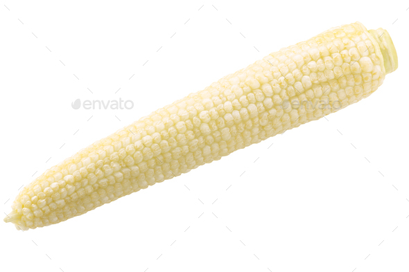 Unripe peeled corn cob or maize, isolated