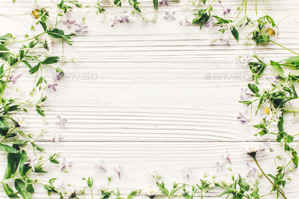 beautiful lilac flowers and daisy frame on rustic white wooden ...