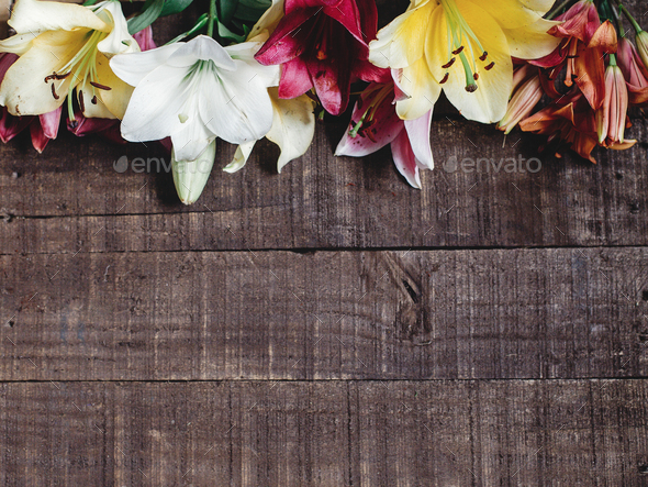 beautiful colorful lily flower on rustic wooden background Stock Photo by  Sonyachny