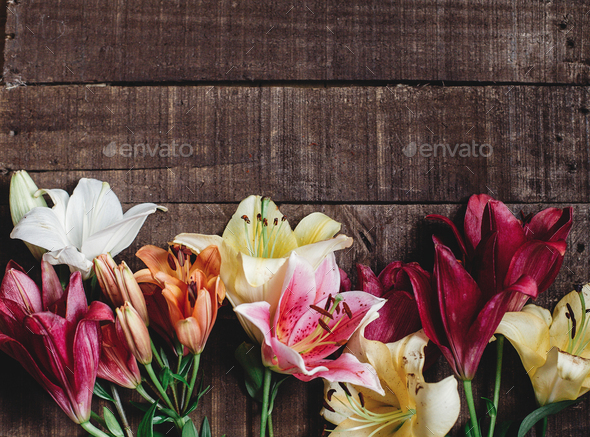 beautiful colorful lily flower on rustic wooden background Stock Photo by  Sonyachny