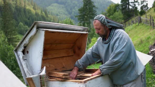 Beekeeper Removing Honeycomb From Beehive alt