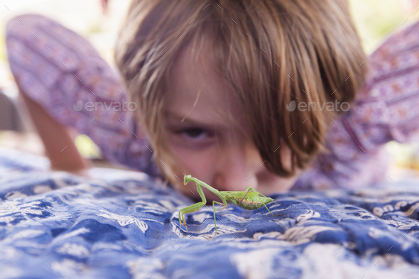 7 year old boy looking at a praying mantis - Stock Photo - Images