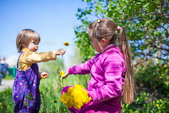 Girl sitting on grass and giving blooming yellow dandelion flower to small boy - Stock Photo - Images