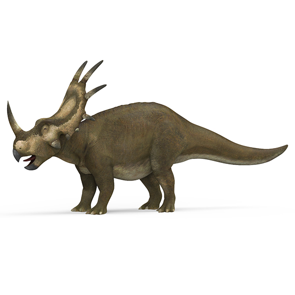 Styracosaurus Dinosaur - 3Docean 29001944