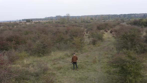 Photographer with a DSLR camera texting while documenting a bison herd. alt