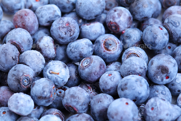 blueberry - Stock Photo - Images