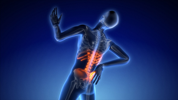 Lower Back Pain, Sport Injury