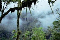 cinematic intros and trailers