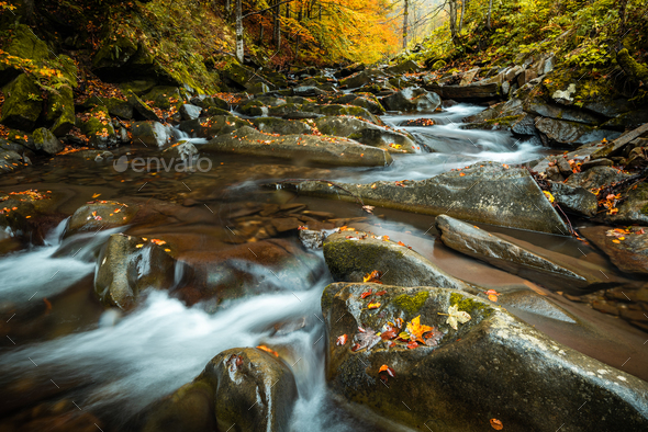 Fall Season in Forest. Stream and Waterfall Flowing Motion. Colorful Leaves in Autumnal Colors.