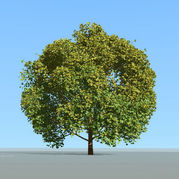 Tree_Spring_WindAnimation - 3Docean 29030401