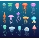Underwater Jellyfish