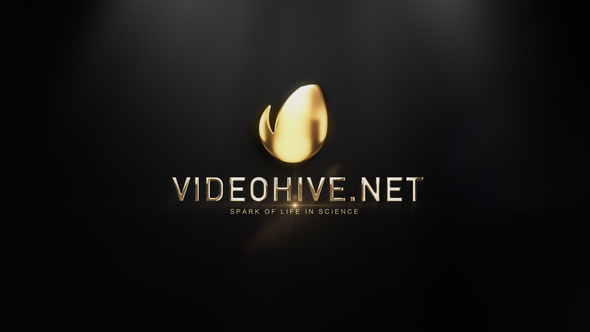 Gold Logo Reveal - VideoHive 29040549