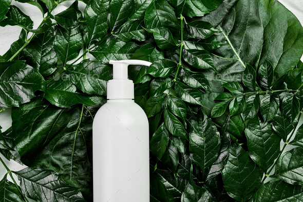Download Mockup Of Blank White Bottle On Green Tropical Leaves Spa Concept Stock Photo By Bondarillia